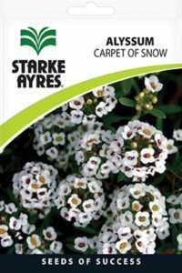 Starke Ayres Gardeners Summer Flower Seed Assorted Variants - Image 4