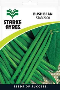Starke Ayres Vegetable Seed Bean Assorted Variants - Image 3