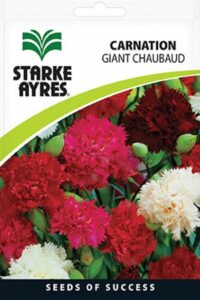 Starke Ayres Gardeners Summer Flower Seed Assorted Variants - Image 3