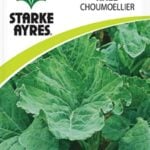 Starke Ayres Vegetable Seed Kale Assorted Variants
