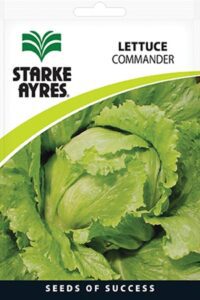 Starke Ayres Vegetable Seed Lettuce Assorted Variants - Image 3
