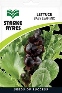 Starke Ayres Vegetable Seed Lettuce Assorted Variants - Image 2
