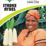 Starke Ayres Vegetable Seed Maize Assorted Variants