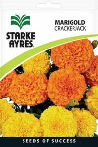 Starke Ayres Gardeners Summer Flower Seed Assorted Variants - Image 8