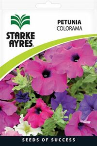 Starke Ayres Gardeners Summer Flower Seed Assorted Variants - Image 6