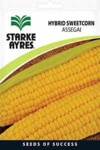 Starke Ayres Vegetable Seed Sweetcorn Assorted Variants - Image 2