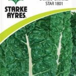 Starke Ayres Vegetable Seed Swiss Chard Assorted Variants