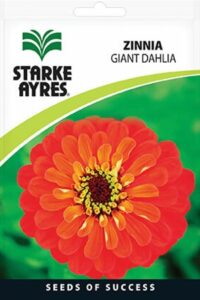 Starke Ayres Gardeners Summer Flower Seed Assorted Variants - Image 2